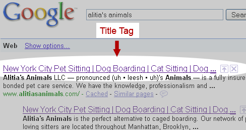 title tag example