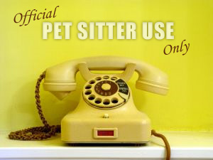 pet-sitter-phone