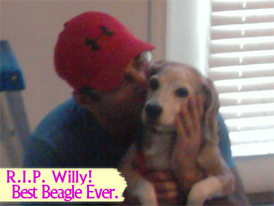 Willy. Best Beagle Ever.
