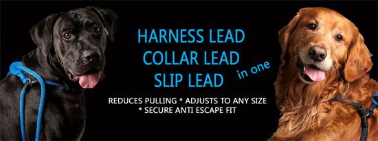 harness lead