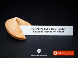 Viral ecard example 02