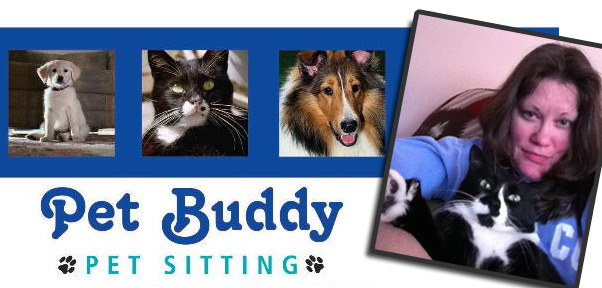 Pet Buddy Banner