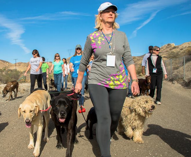 Tami Truex Dog Walker