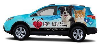 rsz_car_wrap