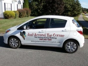 using car wrap for marketing