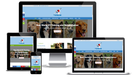 the hyper pup website screenshot