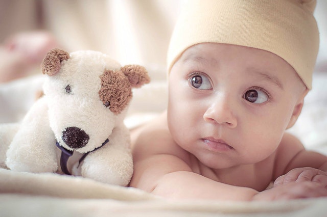 baby with dog photo