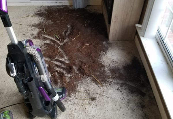 vacuum with dirt on floor